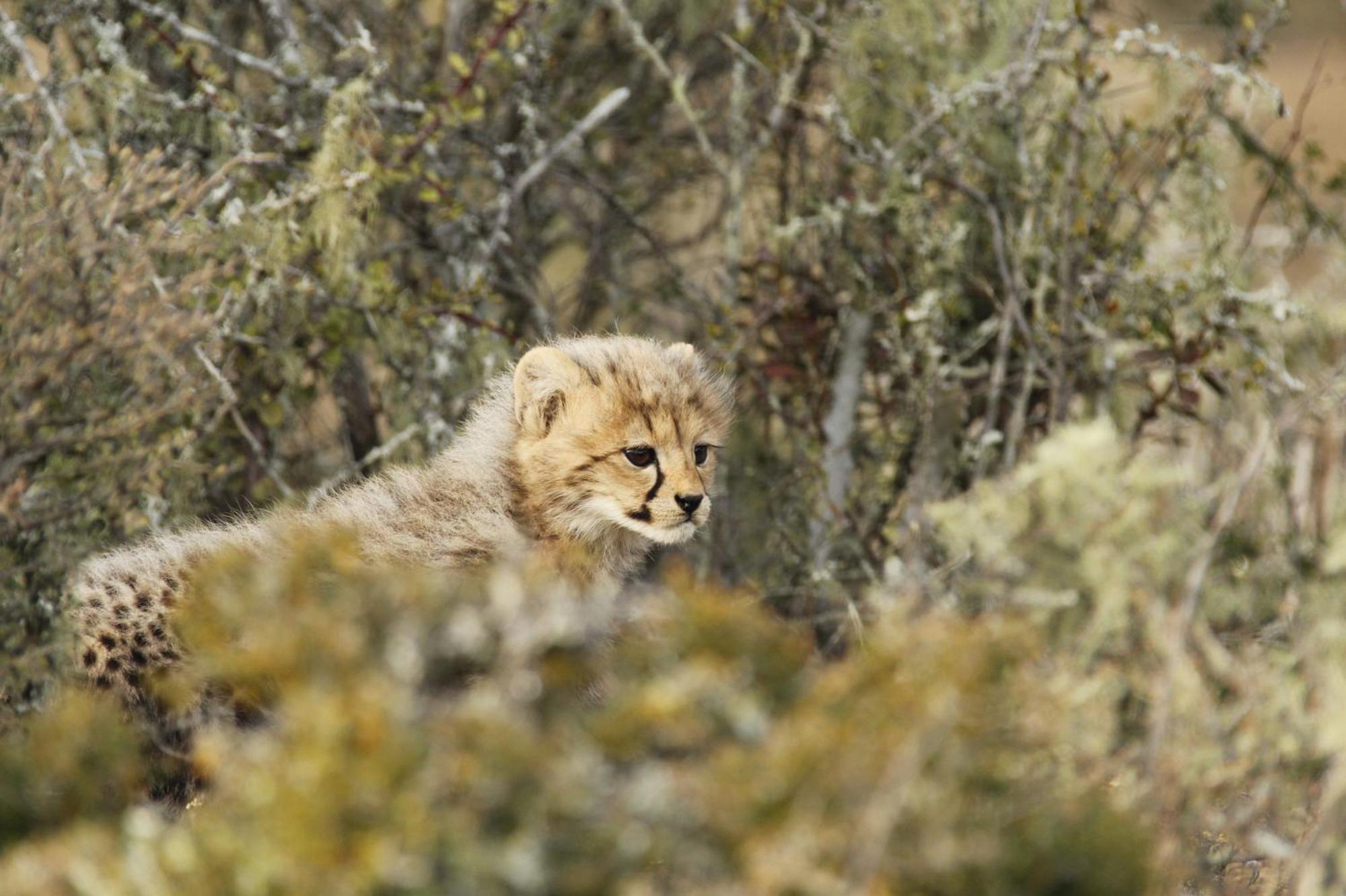 Kwandwe Private Game Reserve - Great Fish River Lodge Grahamstown Eksteriør bilde