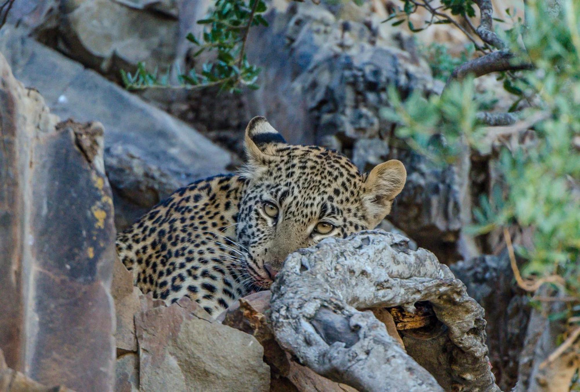 Kwandwe Private Game Reserve - Great Fish River Lodge Grahamstown Eksteriør bilde