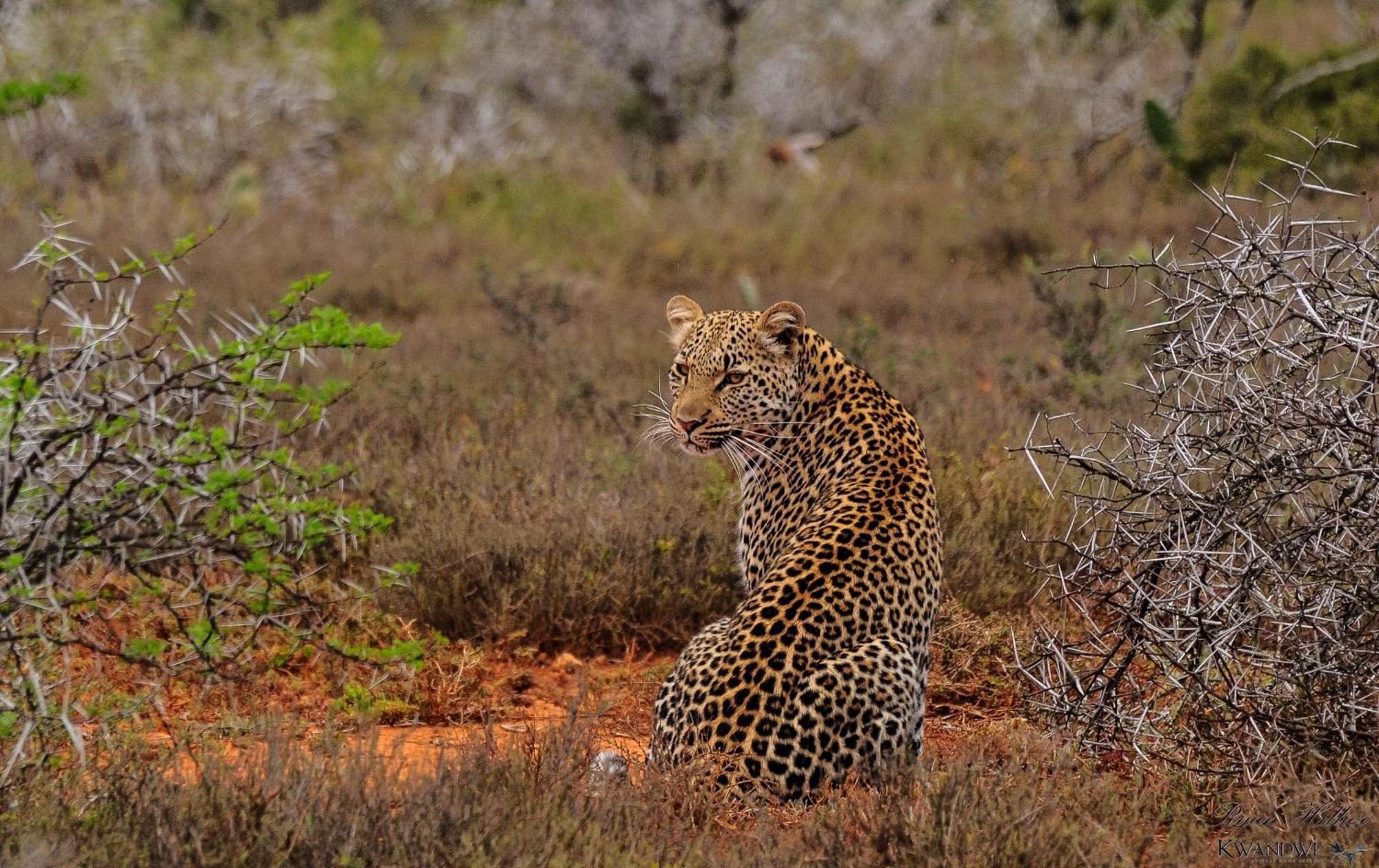 Kwandwe Private Game Reserve - Great Fish River Lodge Grahamstown Eksteriør bilde