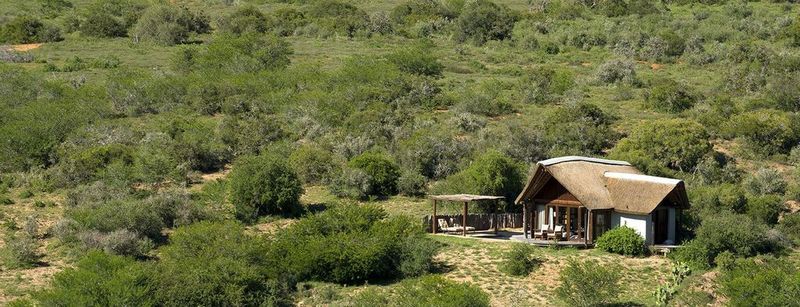 Kwandwe Private Game Reserve - Great Fish River Lodge Grahamstown Eksteriør bilde