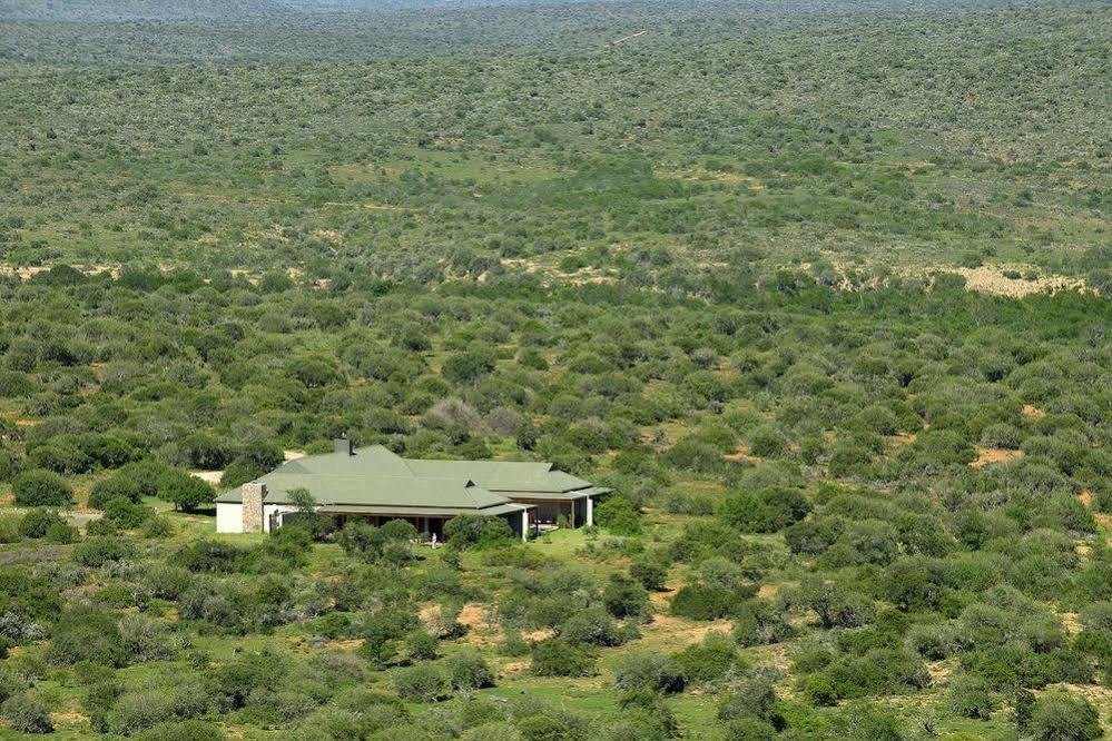 Kwandwe Private Game Reserve - Great Fish River Lodge Grahamstown Eksteriør bilde